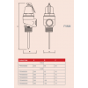 Reliance - PTEM600005 - 2" FVMX 7.0 Bar Pressure & Temperature Relief Valve Dimensions